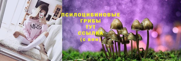 кристаллы Богородицк